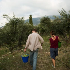 Honest Toil Ehrliche Arbeit Extra Natives Olivenöl 500ml Zutaten -Deutschland Küchenwaren Verkäufe HonestToilOliveOillifestyle
