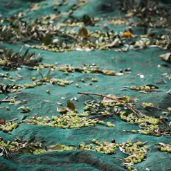 Honest Toil Ehrliche Arbeit Extra Natives Olivenöl 500ml Zutaten -Deutschland Küchenwaren Verkäufe HonestToilOliveOillifestyle1