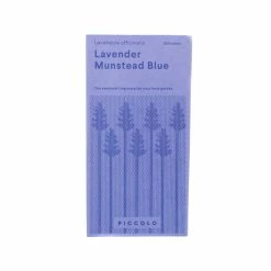 Piccolo Munstead Blue Lavender Essbare Blütensamen Zutaten