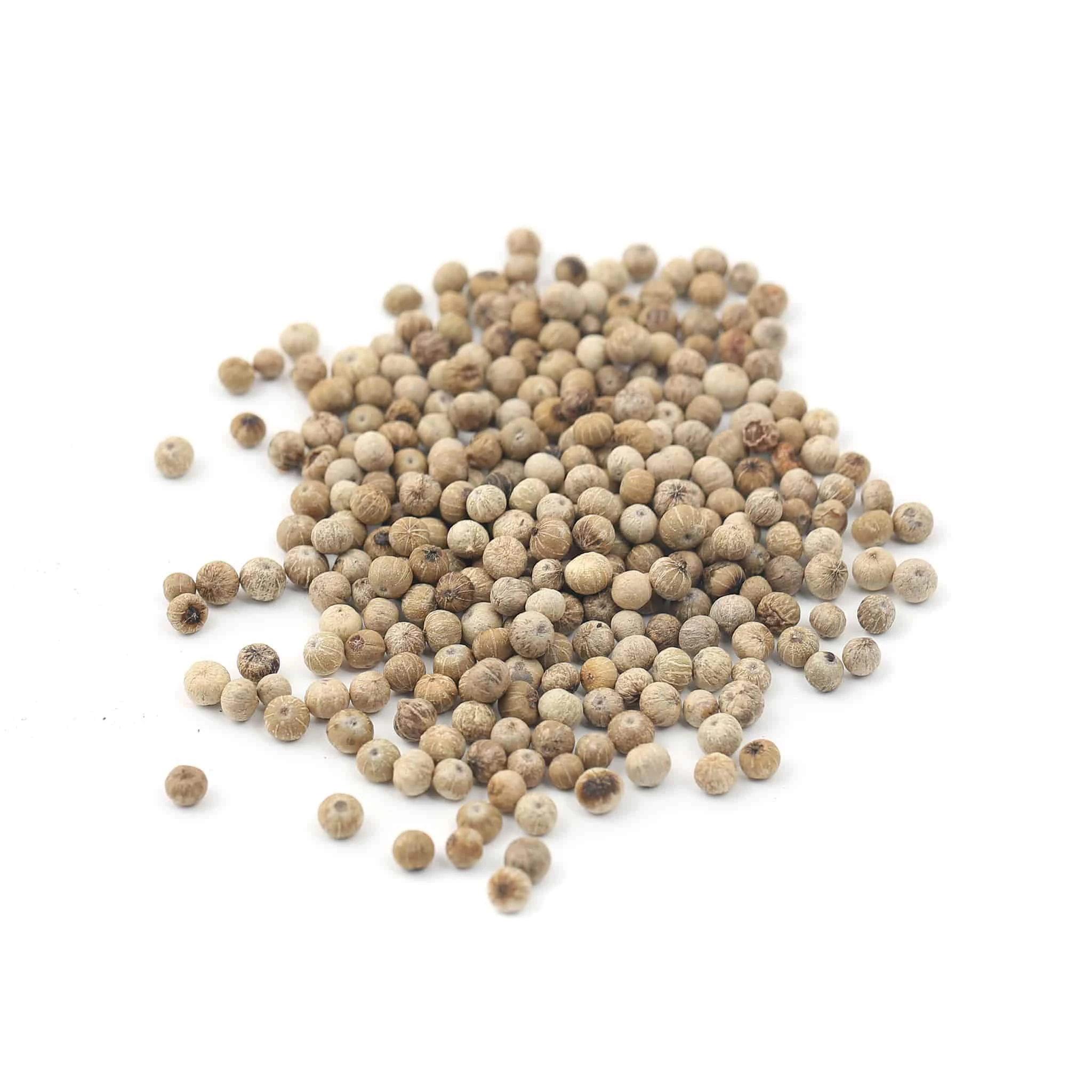 Terre Exotique White Kampot Pepper IGP 500g 2 Terre Exotique White Kampot Pepper IGP 500g – Bild 2
