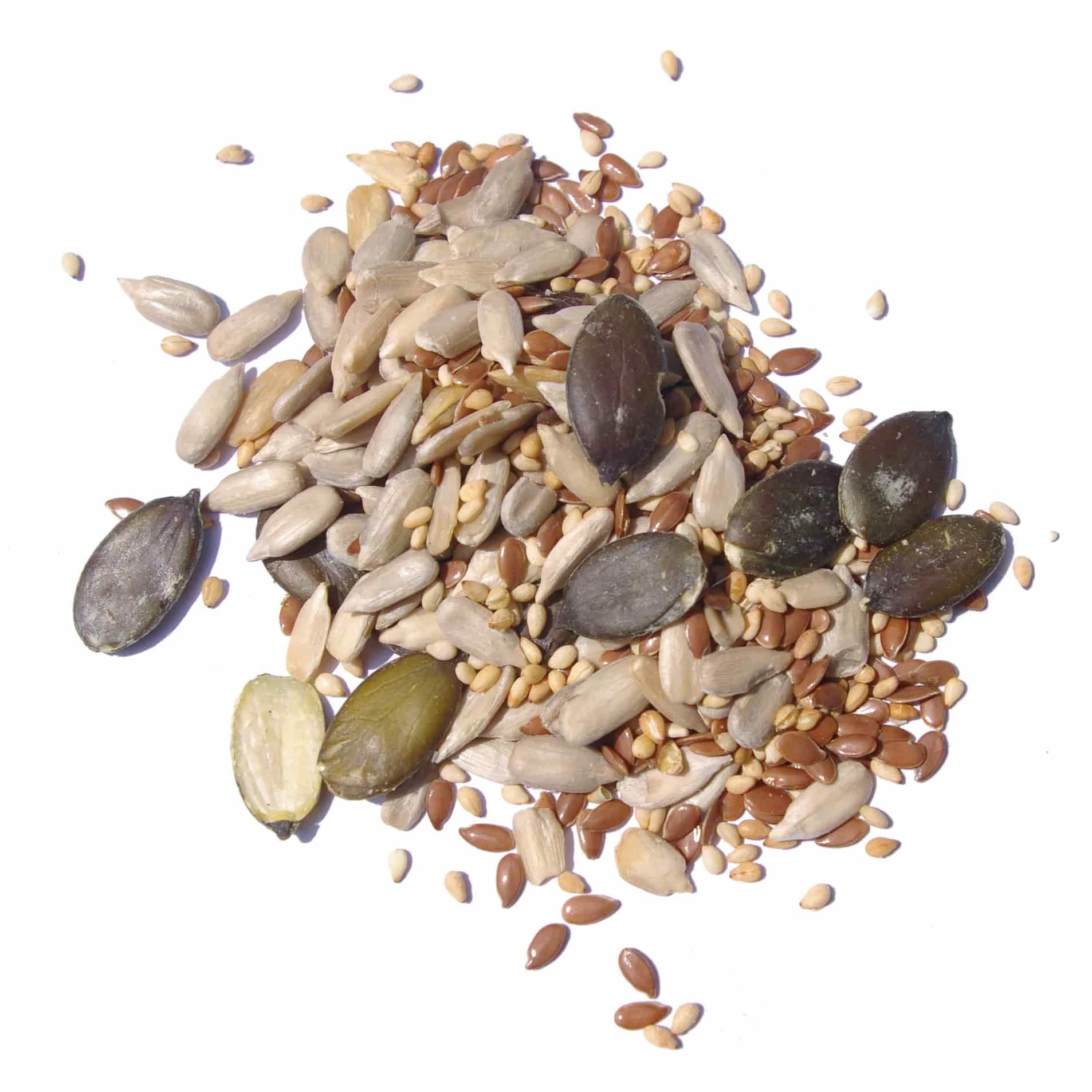 Terre Exotique Salatsamen Mischung 500g 2 Terre Exotique Salatsamen Mischung 500g – Bild 2