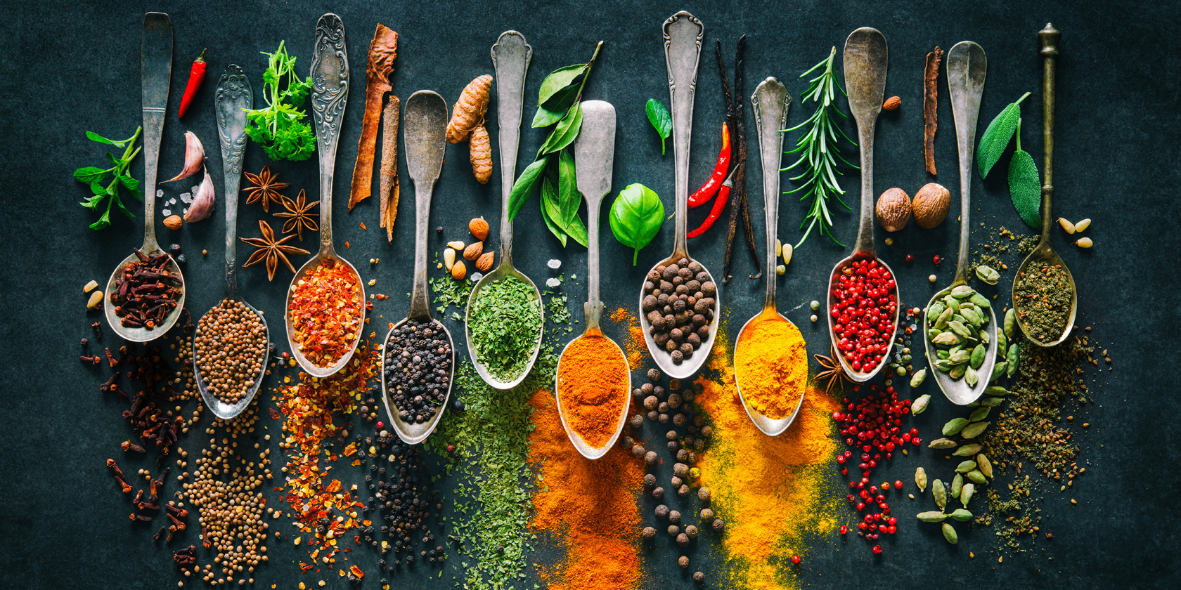 Deutschland Küchenwaren Verkäufe 12 Deutschland Küchenwaren Verkäufe -Deutschland Küchenwaren Verkäufe gesunde kraeuter und gewuerze