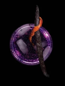 Molecule-R Gin Und Tonic R-Evolution -Deutschland Küchenwaren Verkäufe gin tinic r evolution drink