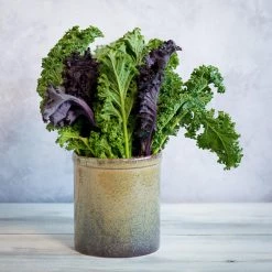 Ceramica Nicola Lagoa Küchengeräte Jar