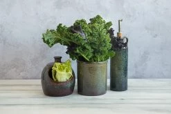 Ceramica Nicola Lagoa Küchengeräte Jar -Deutschland Küchenwaren Verkäufe lagoa utensil salt pig oil pourer