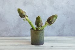 Ceramica Nicola Lagoa Küchengeräte Jar -Deutschland Küchenwaren Verkäufe lagoa utensils artichokes