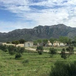 Grand Brahis AOP Vallee Des Baux De Provence Extra Natives Olivenöl Duo 250ml X 2 -Deutschland Küchenwaren Verkäufe lifestyle 0005 IMG 0817 902e0cec c914 46ee 9c90 0d926721c0d2