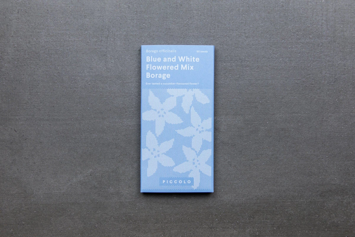 Piccolo White Und Blue Mixed Borage Essbare Blütensamen Zutaten 3 Piccolo White Und Blue Mixed Borage Essbare Blütensamen Zutaten – Bild 3