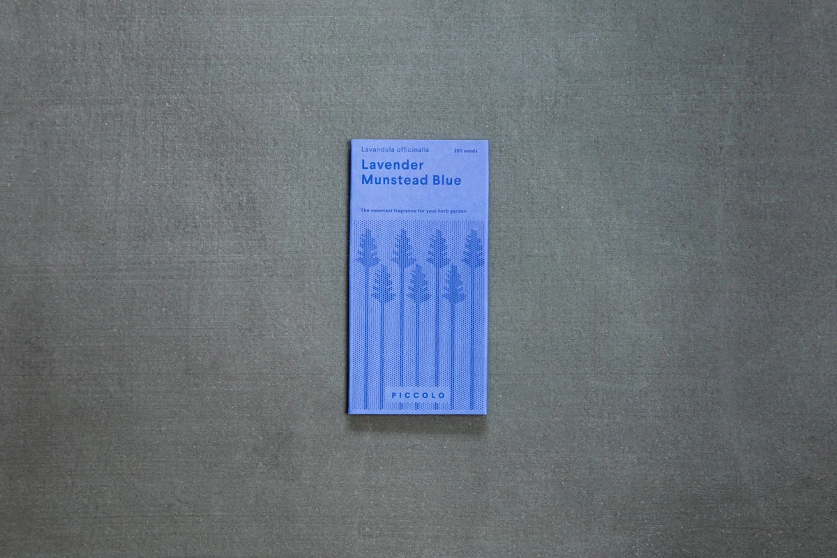 Piccolo Munstead Blue Lavender Essbare Blütensamen Zutaten 3 Piccolo Munstead Blue Lavender Essbare Blütensamen Zutaten – Bild 3