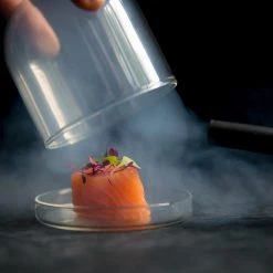 Portuguese Tableware Portugiesisch Geschirr Großes Glasgewölbe Cloche X 2 - 11cm Dia Molekulare Gastronomie Zubehör 5 Portuguese Tableware Portugiesisch Geschirr Großes Glasgewölbe Cloche X 2 - 11cm Dia Molekulare Gastronomie Zubehör -Deutschland Küchenwaren Verkäufe salmon cloche gun 2